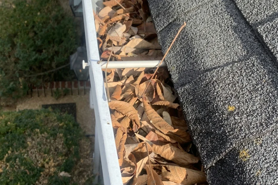 Gutter Cleaning Lebanon